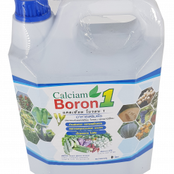 calcium Boron