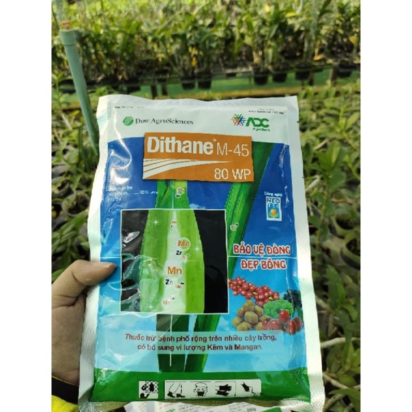 Thuốc Trừ Nấm Bệnh Dithane M-45 250gr