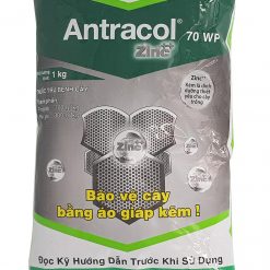 antracol